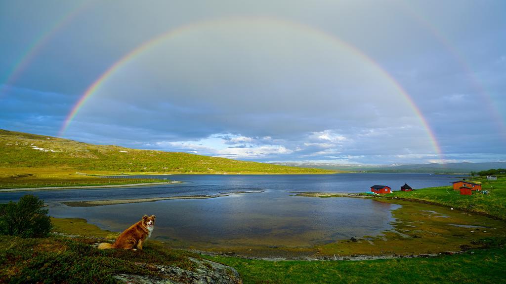 Smørfjord Villa Russenes Eksteriør billede